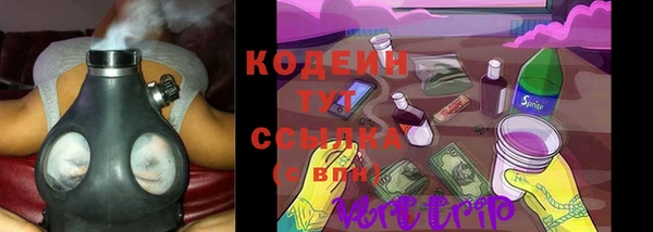 дживик Вязьма