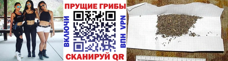 купить  цена  Петушки  omg сайт  Псилоцибиновые грибы ЛСД 